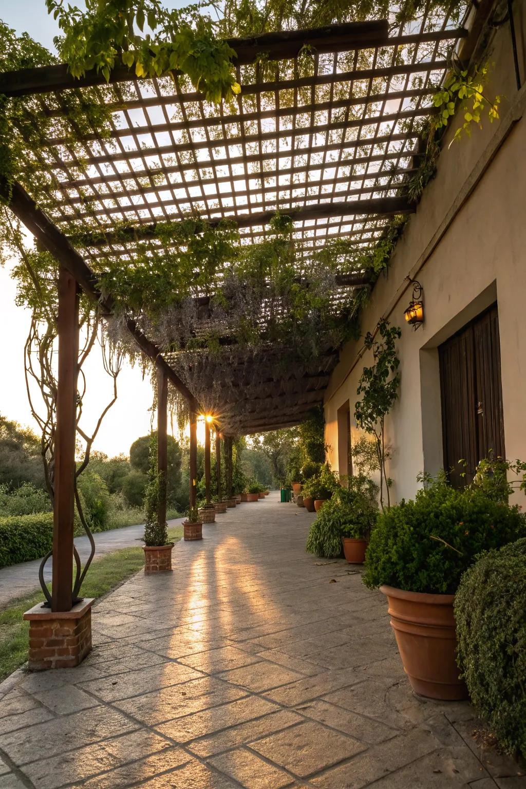 Infuse life and freshness into your driveway with a lattice roof and hanging plants.