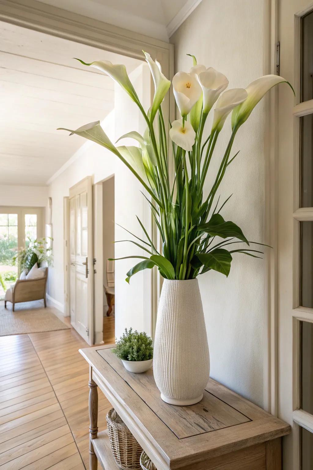 Make a grand entrance: Tall calla lilies create a dramatic hallway display.